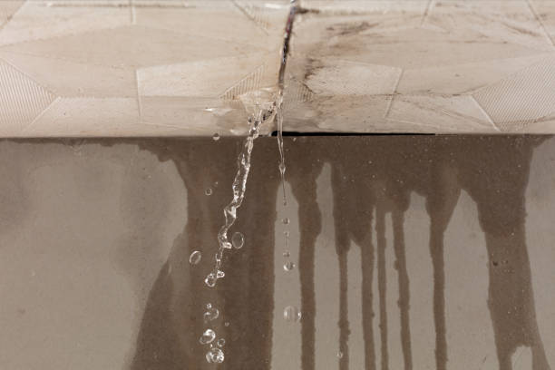 Professional Water Damage Restoration technician working in Smith, NV